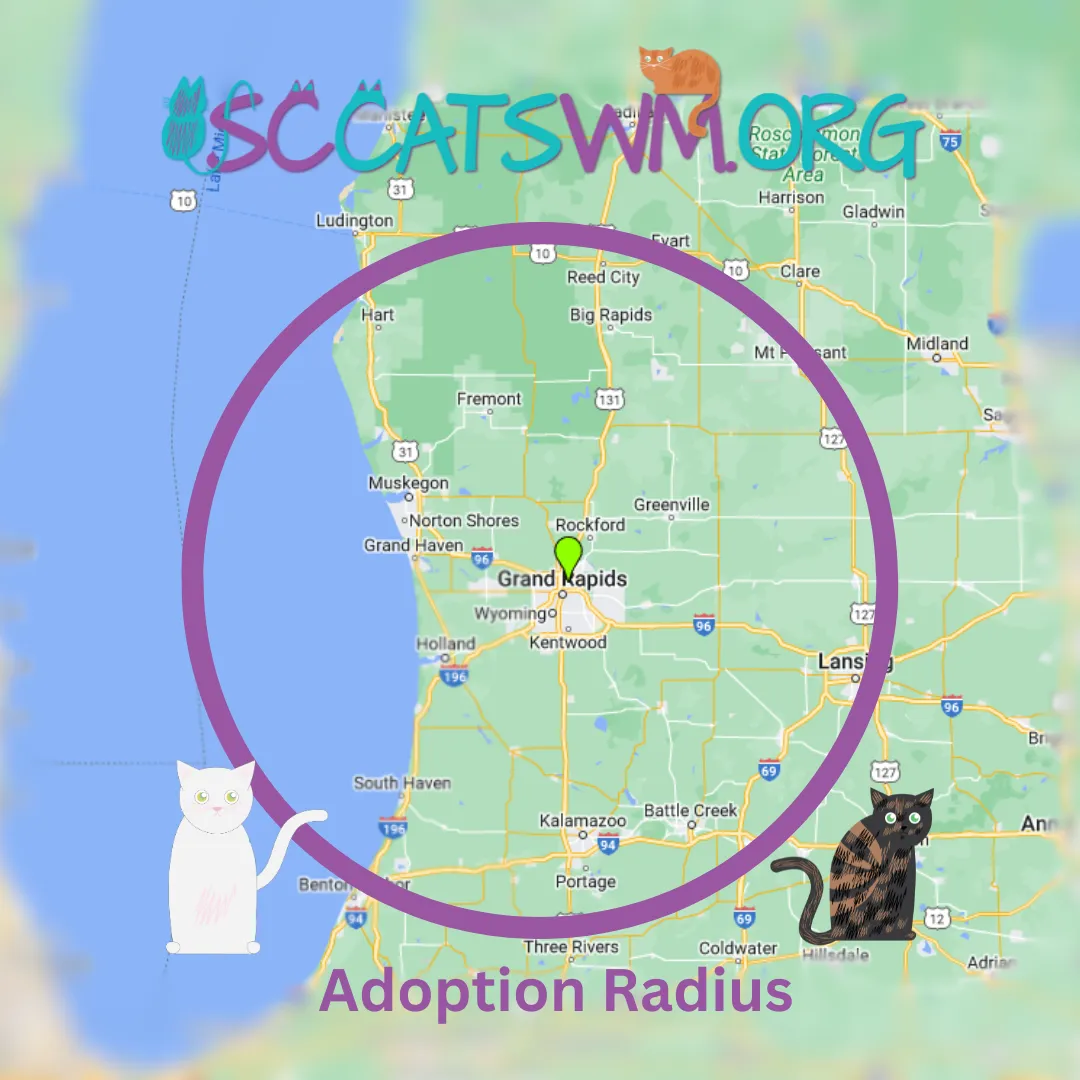 Stylized Second Chance Cats of West Michigan adoption radius map centered on Grand Rapids, Michigan, with cats and the rescue logo.