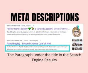 Meta descriptions are the paragraph under the title in the search results page