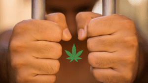 free cannabis prisoners