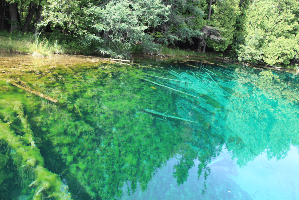 Kitch-iti-kipi Springs Michigan weekend trips