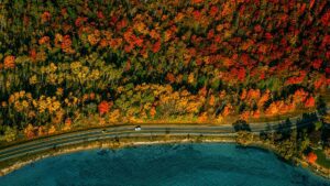 Discover the Magic of Michigan's Winter Wonderland