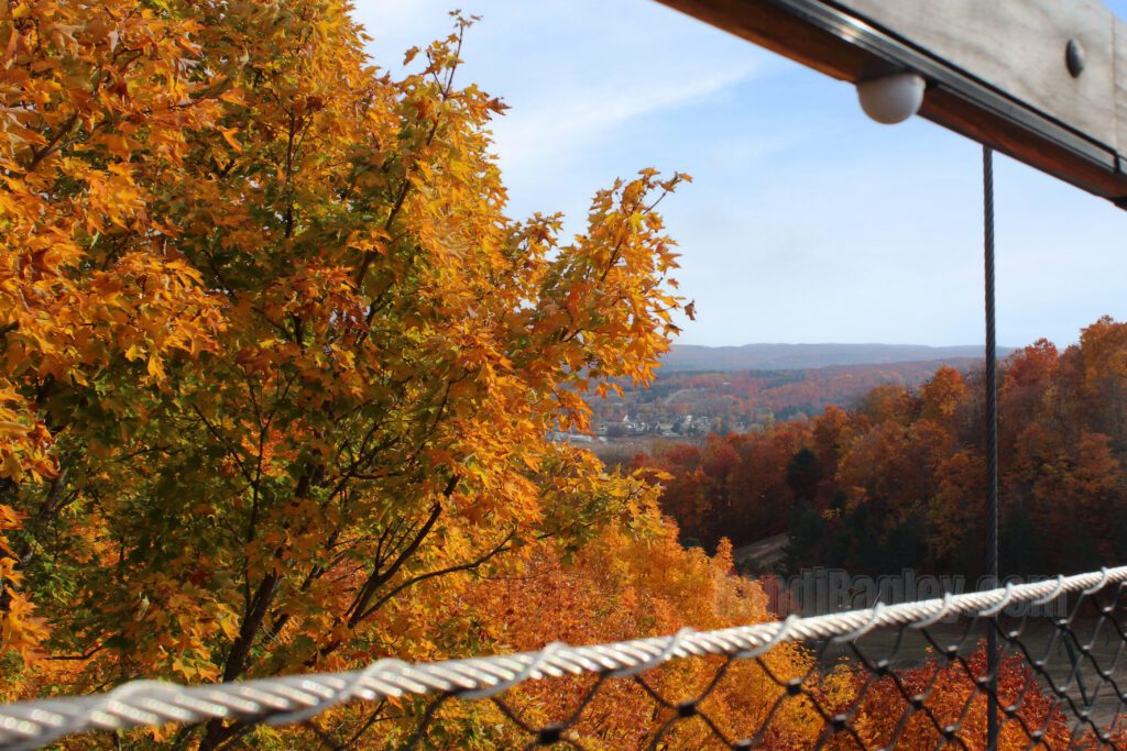 View from SkyBridge Michigan showcasing bright orange and yellow fall leaves