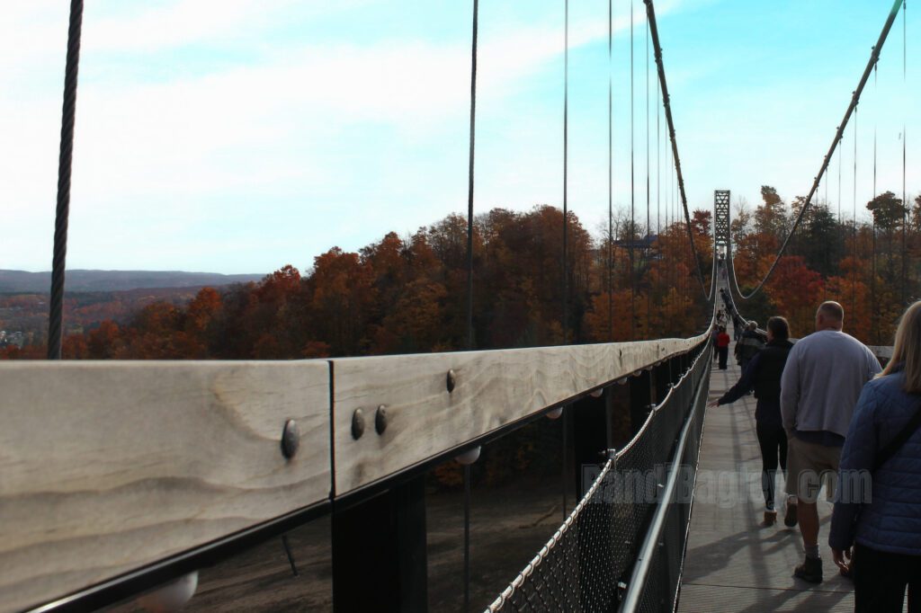 Visitors walking along SkyBridge Michigan with wooden railings and fall trees in the background.