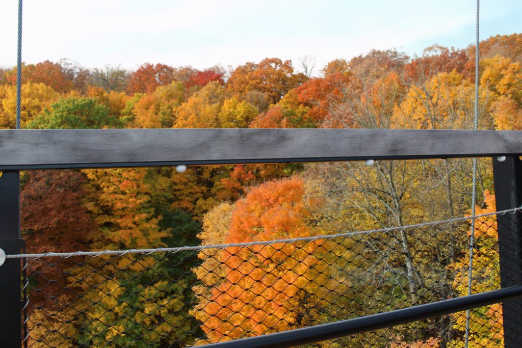 Autumn leaves in shades of orange and yellow viewed through the SkyBridge railing.