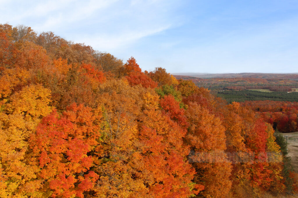 Bright fall trees with a mix of orange, red, and yellow leaves overlooking the Michigan countryside.