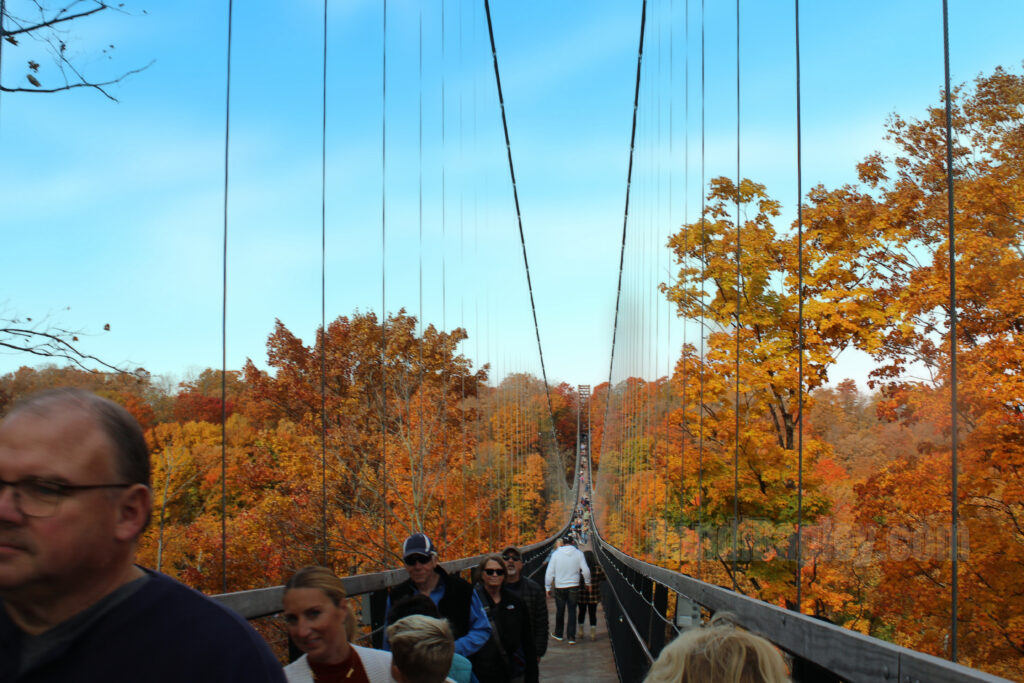 Visitors walking across SkyBridge Michigan surrounded by vibrant fall trees and a clear blue sky.