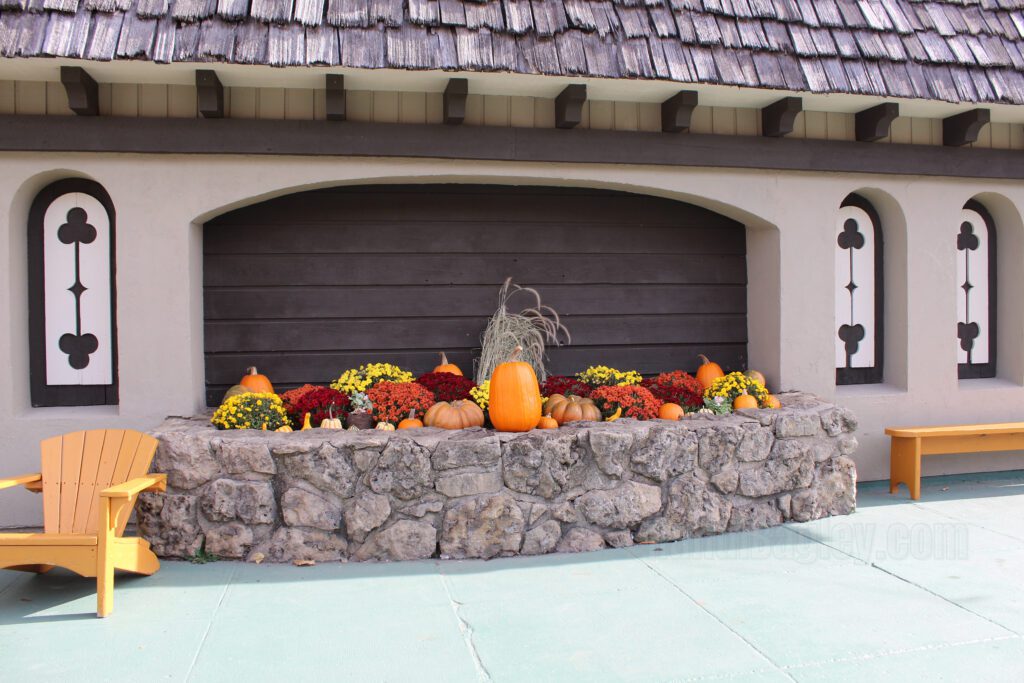 Seasonal display of pumpkins, gourds, and colorful mums in front of a rustic building.